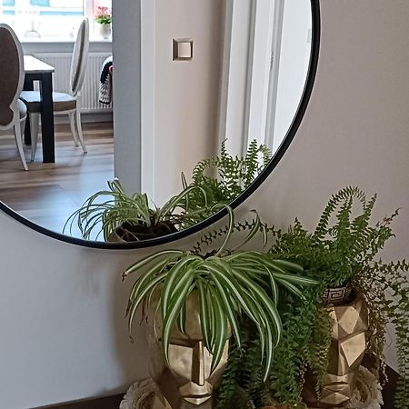 Apartamenty Holender House Choczewo מראה חיצוני תמונה