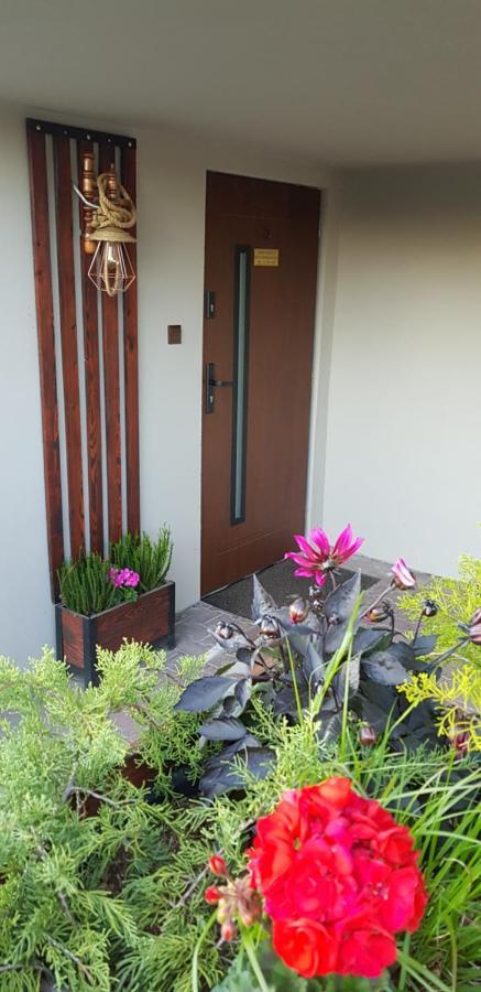 Apartamenty Holender House Choczewo מראה חיצוני תמונה